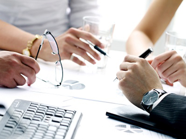 CONSULTANCY SUPPORT